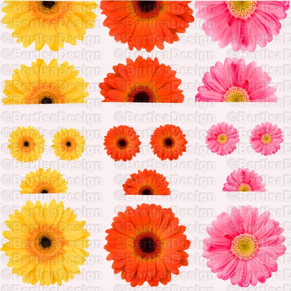 Gerbera Sublimation, Full sheet große Wasserrutsche PNG Design, Clip-Art PNG für Sublimation Transfer | Sublimation für T-Shirts & Tassen