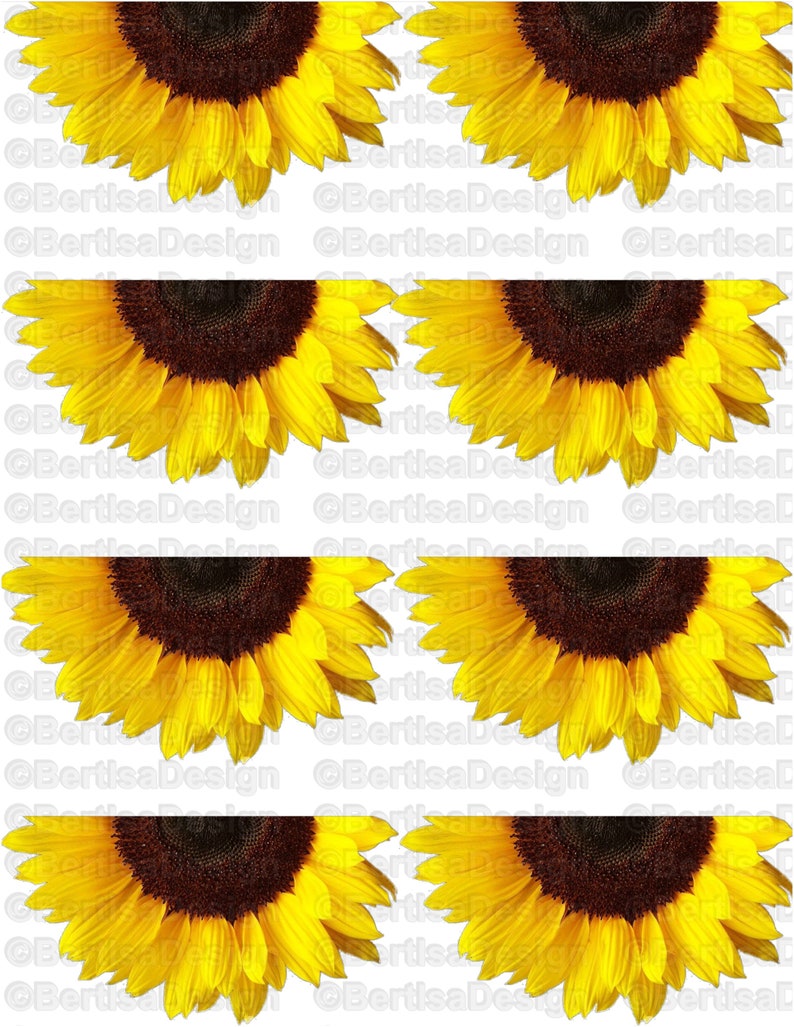 Half Sunflowers Large Waterslide Decal Tumbler Clip art | Etsy (794 x 1027 Pixel)