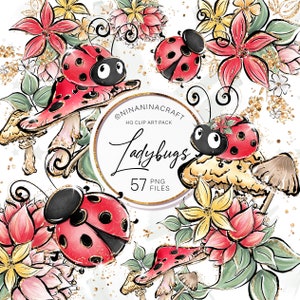 Pacchetto clipart coccinella carina, clipart coccinella di NinaNinaCraft, fiori, funghi, insetti, PNG stampabile primaverile, download istantaneo