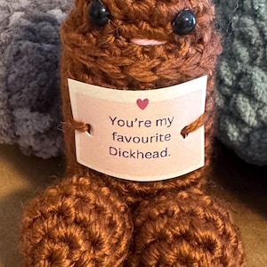 Crocheted Emotional Support Willy: funny crochet, gag gift, uplifting message image 3