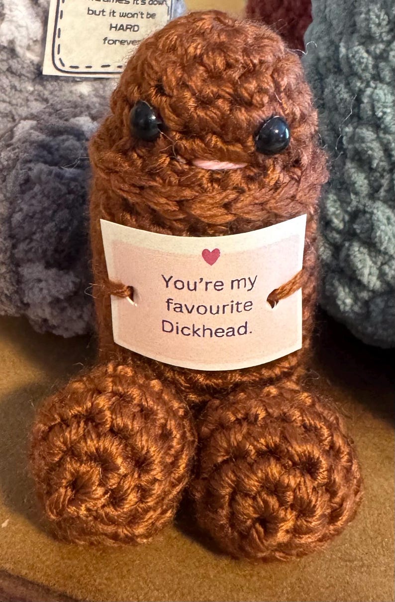 Crocheted Emotional Support Willy: funny crochet, gag gift, uplifting message image 3