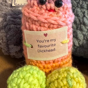 Crocheted Emotional Support Willy: funny crochet, gag gift, uplifting message image 5