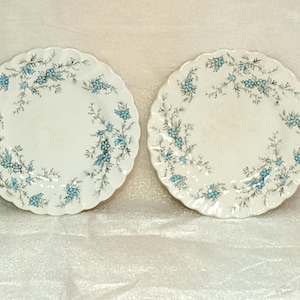 Vintage Myott Staffordshire Plates: Sound of Music Pattern, Set of 2