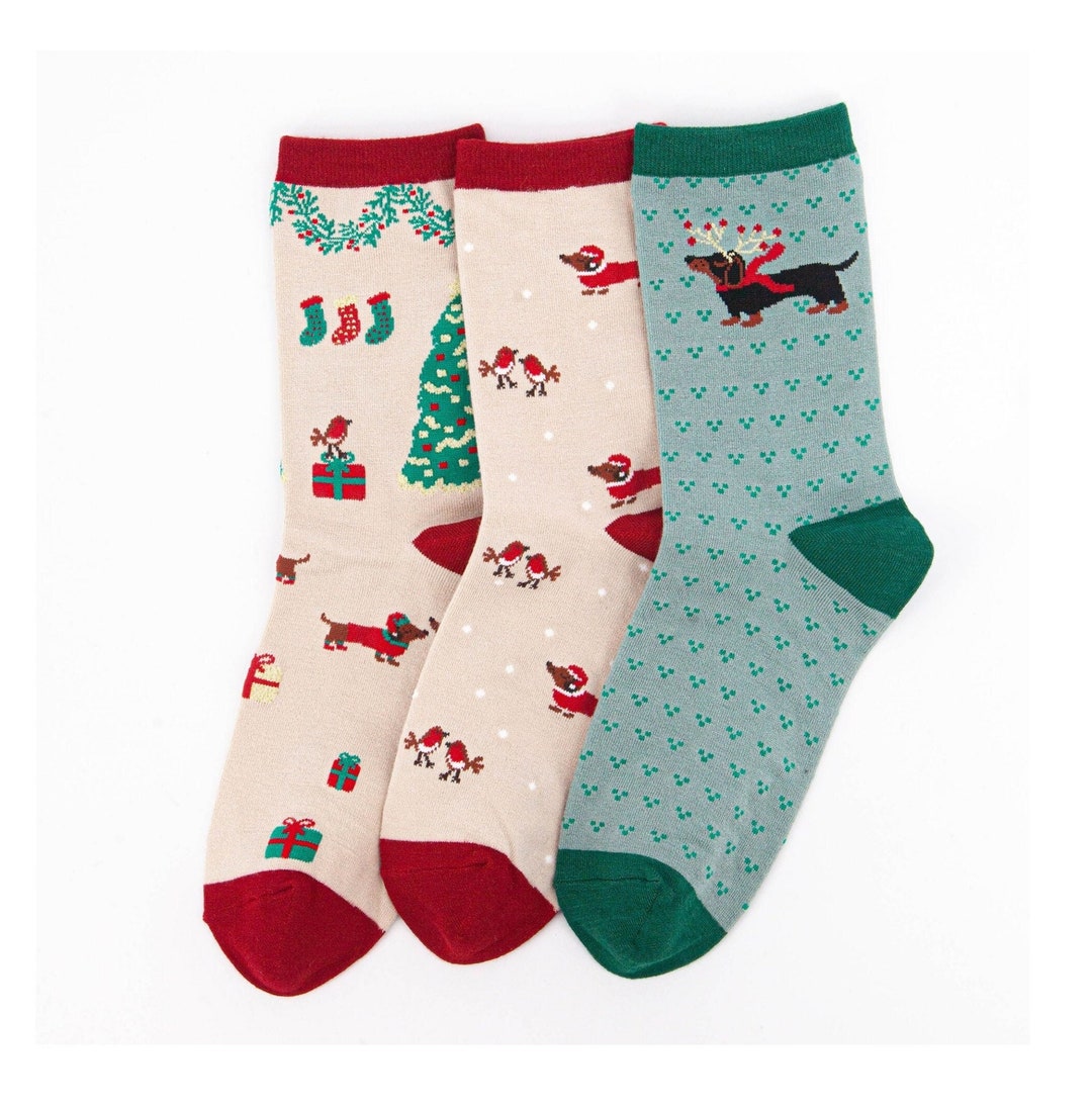 Womens Sausage Dog Socks, Christmas Gift Socks, Robin Bird Socks