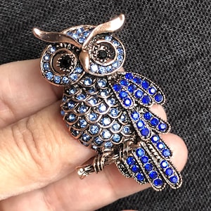 Big owl brooch pin, Rhinestone brooch, Bird brooch, Costume Jewelry for Men or Women, Bird jewellery, Brooch for suit, Friend gift