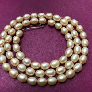 18 Pearl Rosegold Color Capsule Shape Beads 7MM. Smooth - Etsy
