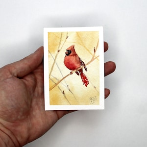 Red Cardinal Painting ACEO Original Art Bird Watercolor Small Artwork 2.5x3.5" by PaintingGiftsArt
