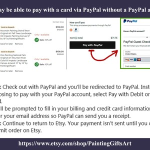 May include: Screenshot showing Etsy checkout instructions. The image includes a PayPal guest checkout option, with instructions to pay with a debit or credit card. The text also shows the shop name and product details.