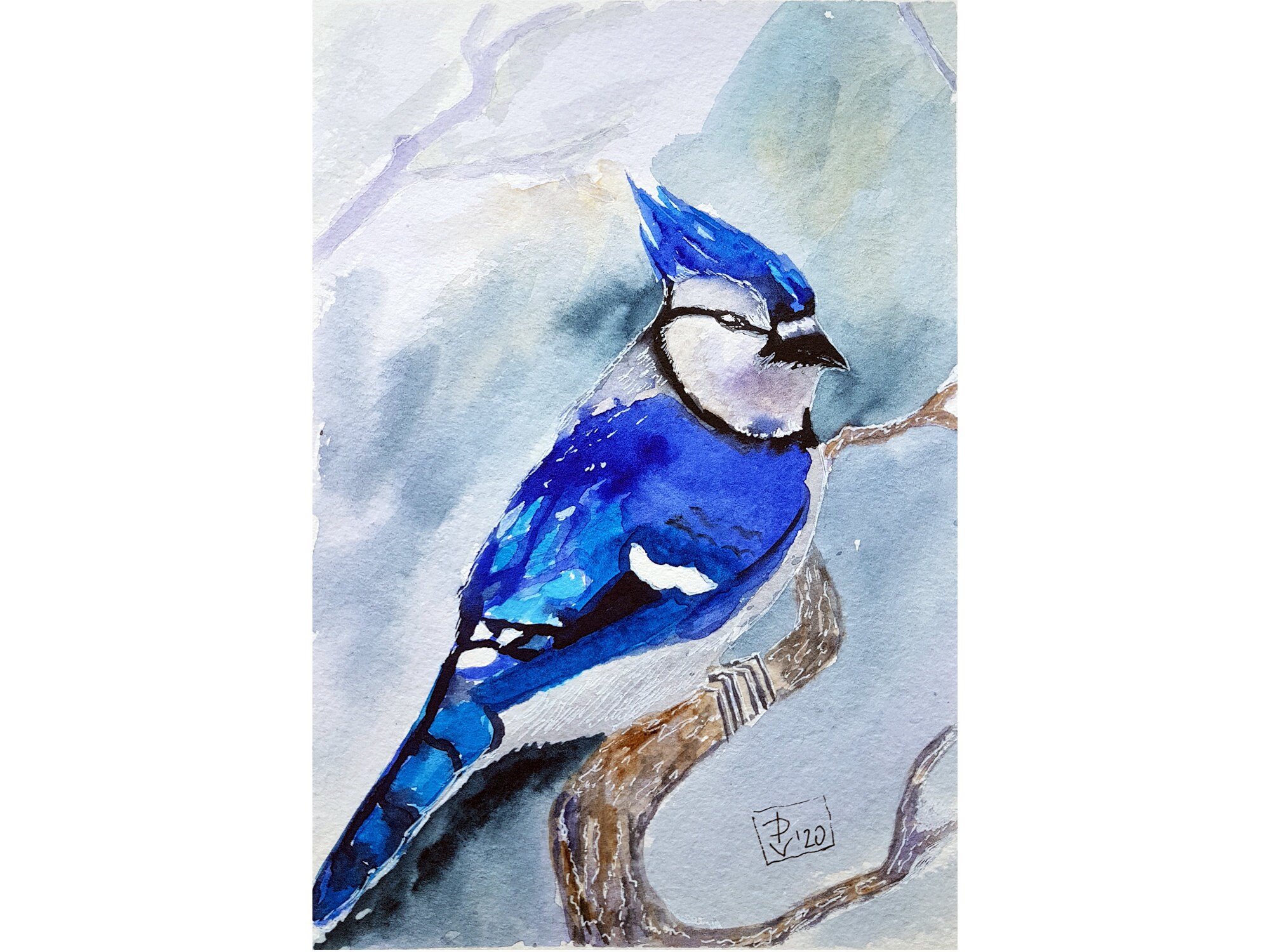 Blue Jay Painting Bird Original Art Watercolor Blue Bird Small Etsy