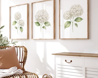 Cream Beige Hydrangea Set of 3 Watercolor prints Botanical Flowers Wall decor, Hamptons style Rustic Modern Bedroom Living Room PRINTABLE