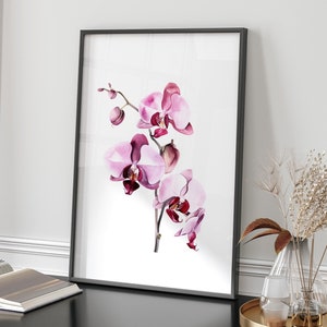 Pink Orchid Watercolor Prints, Botanical Wall Art, Floral Bedroom Decor, Printable Pink Flower Art for Office or Living Room Wall Decor
