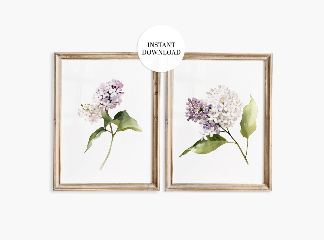 Hydrangea Watercolor Print Set: Lilac Purple Botanical Art (digital ...