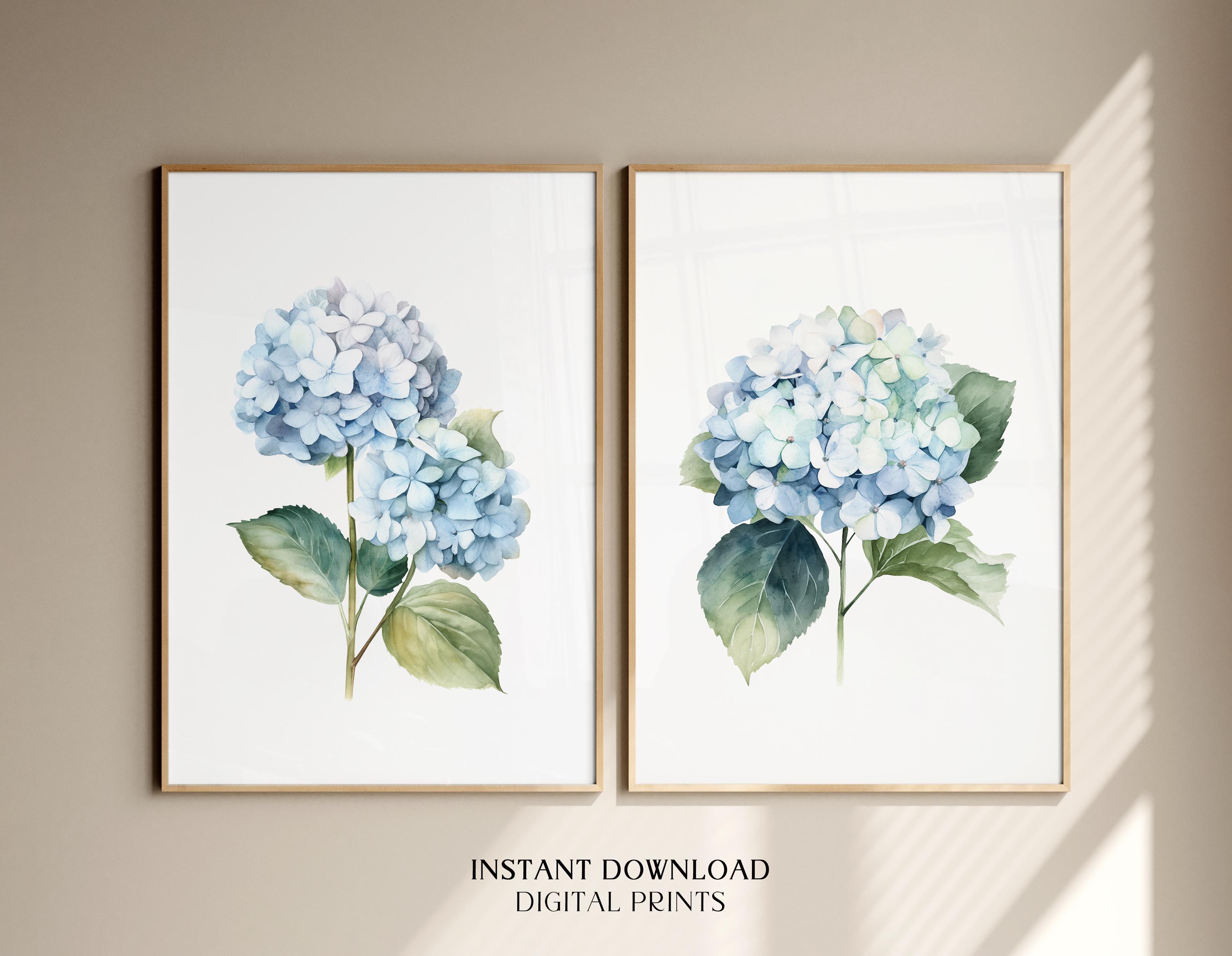 Set of 2 Watercolor Blue Hydrangea Prints, Botanical Floral Wall Art ...