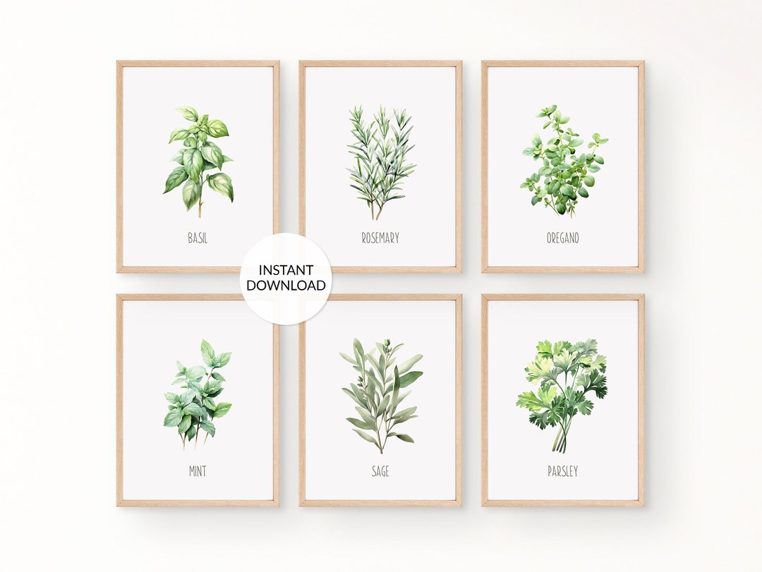 Watercolor Herb Prints: Botanical Kitchen Wall Art (digital Download ...