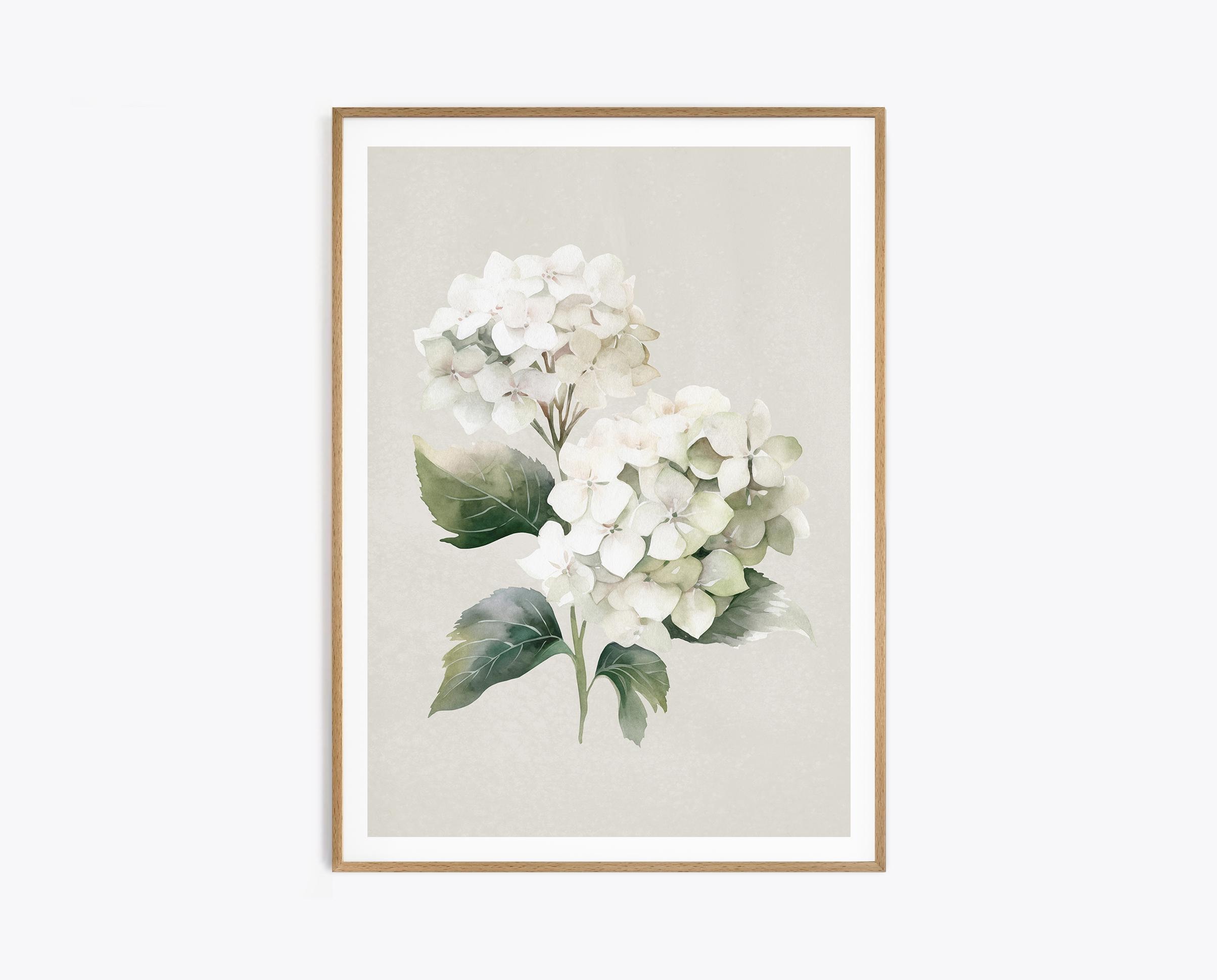 Beige Hydrangea Watercolor Print, Botanical Flower Wall Art, Abstract ...