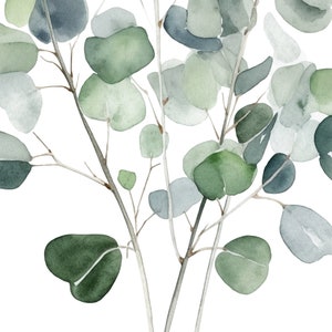 May include: Watercolor painting of eucalyptus branches with green and blue leaves.