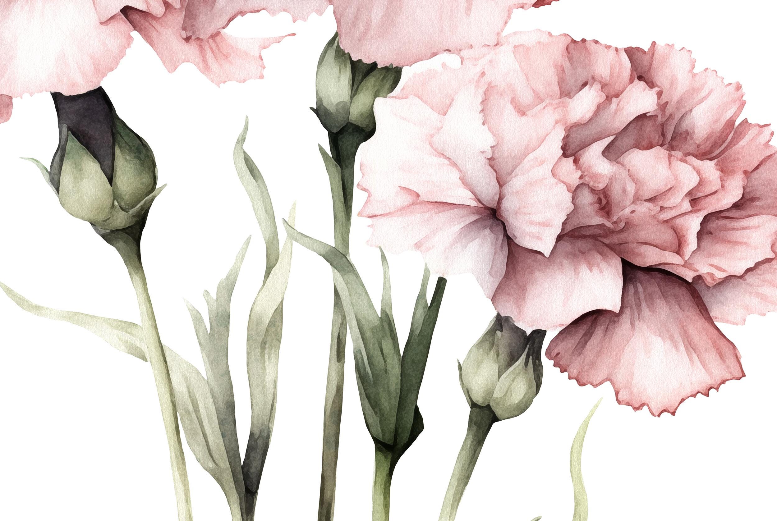 水彩画「ピンクのカーネーション」プリント：ハンプトンズスタイルの