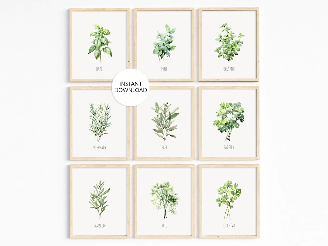 Set of 9 Watercolor Printable Herb Prints Botanical Wall Art, Digital ...