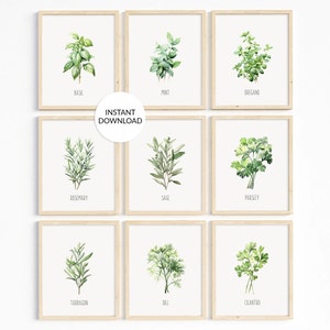 Watercolor Herb Prints: Botanical Kitchen Wall Art Set (Digital Download)