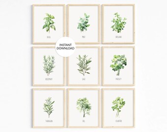 Watercolor Herb Prints: Botanical Kitchen Wall Art Set (Digital Download)