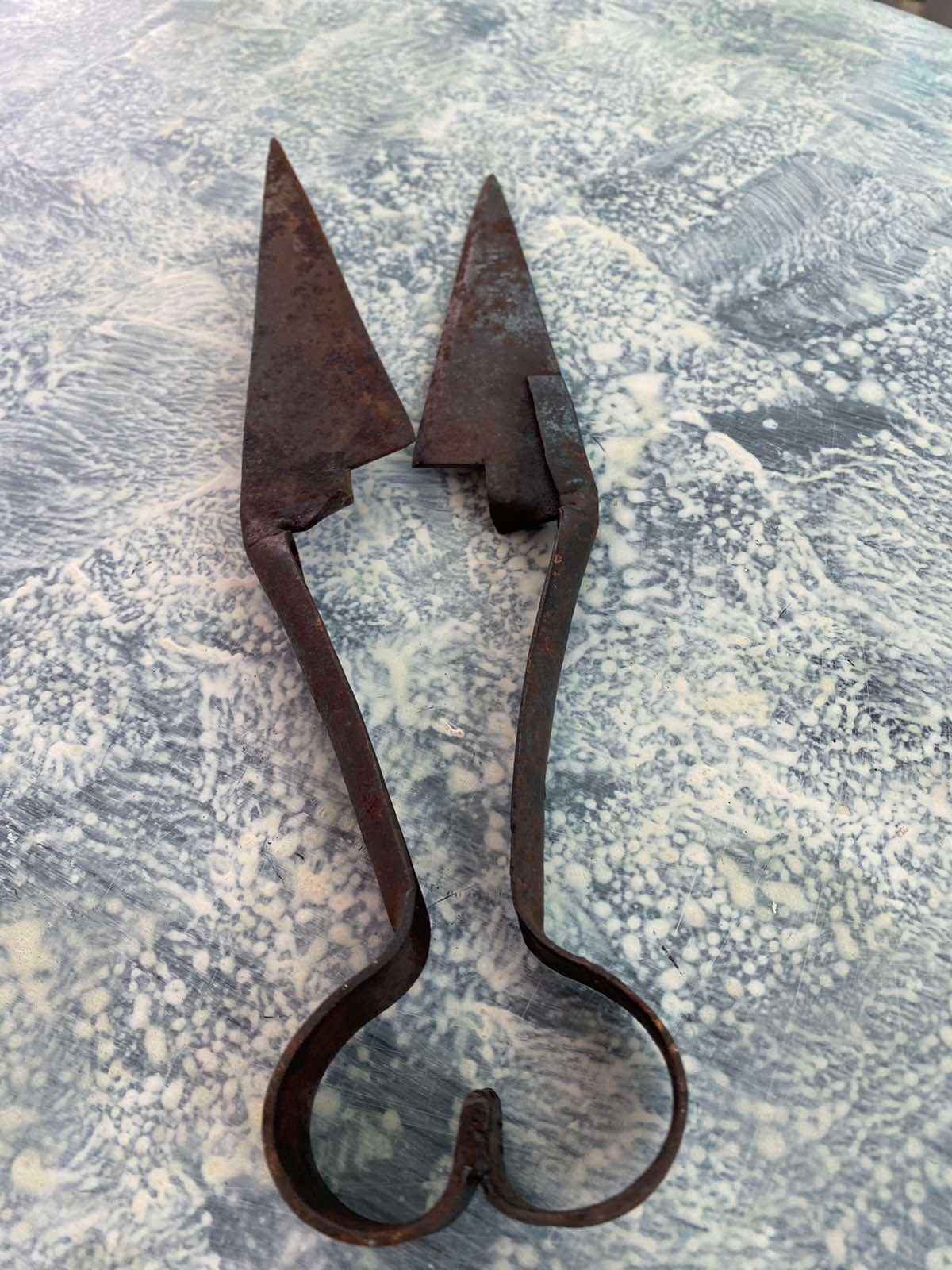 Rusty Old Fashioned Sheep Shears Held In Hand Stock Photo