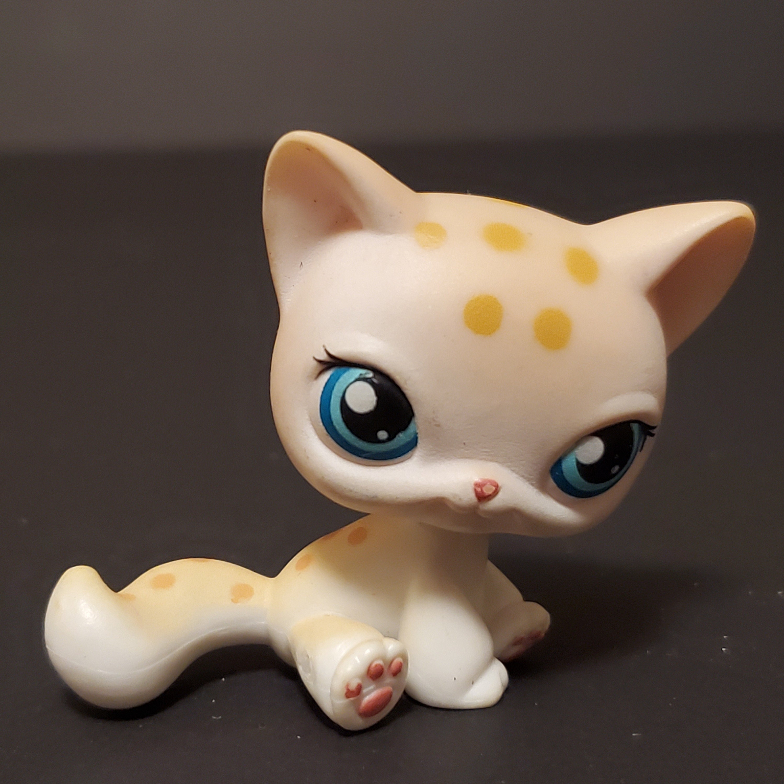 Littlest Pet Shop LPS Authentic Short Hair Sitting Cats Not Etsy