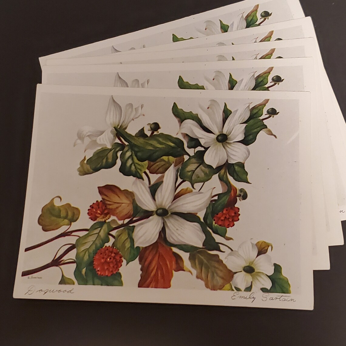 Greeting Cards Unused 11 Austin Marshall Cards 658 No Etsy