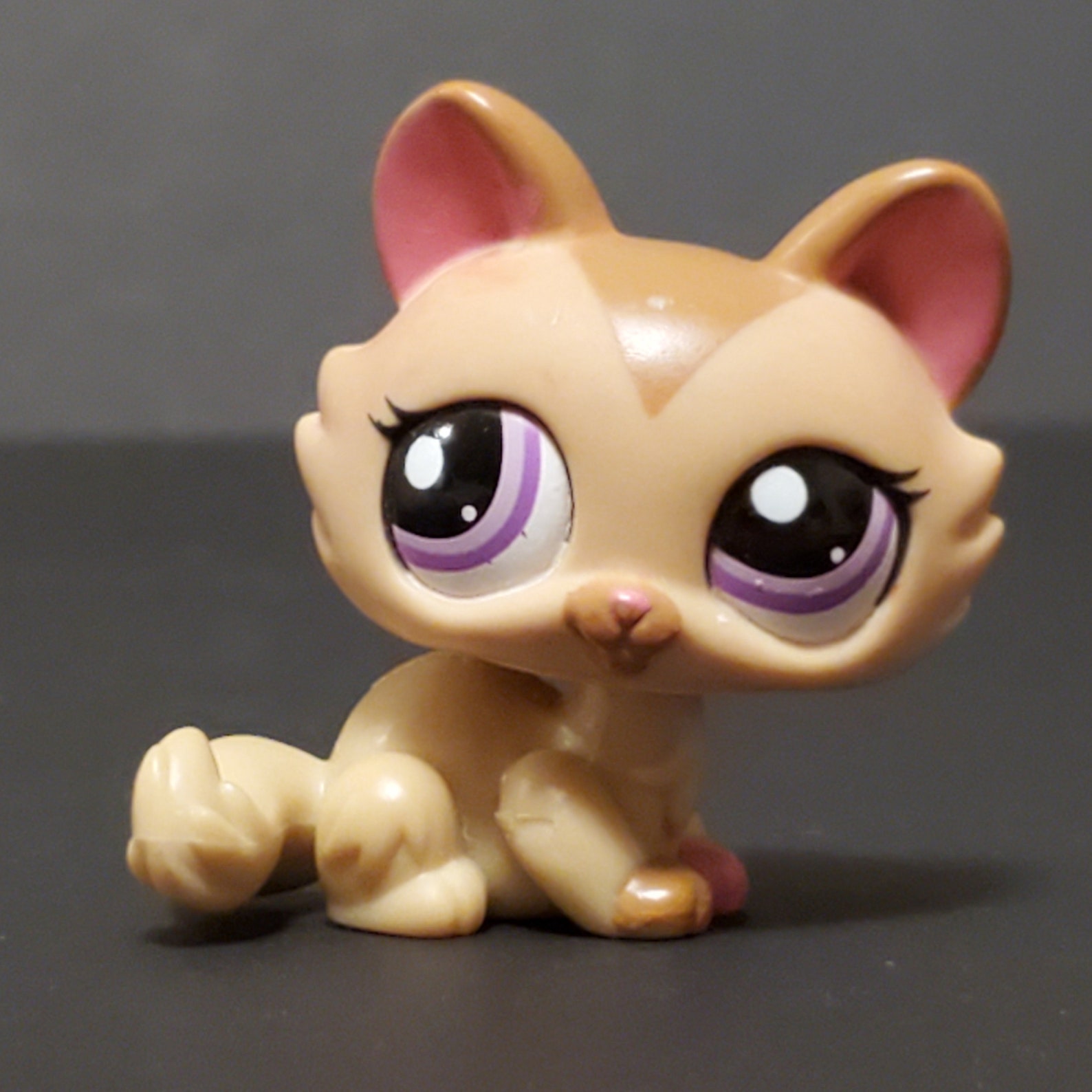 Littlest Pet Shop LPS Authentic Cat 1584 Cat Collectible Etsy
