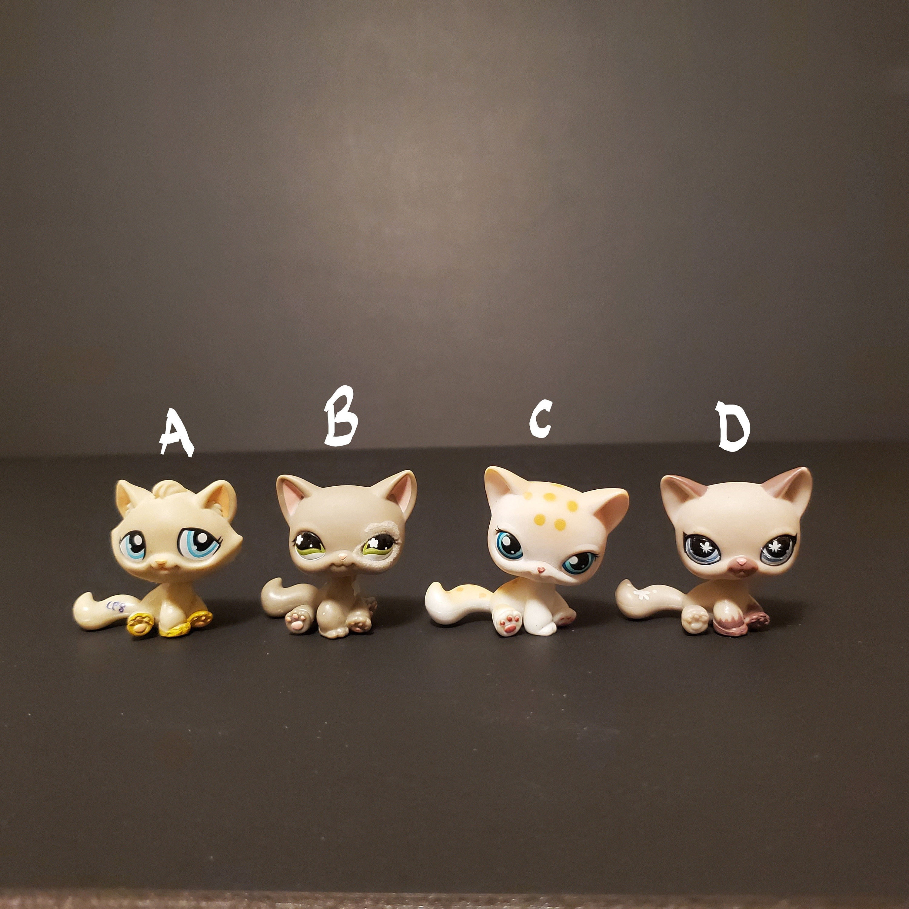 lps cat sitting