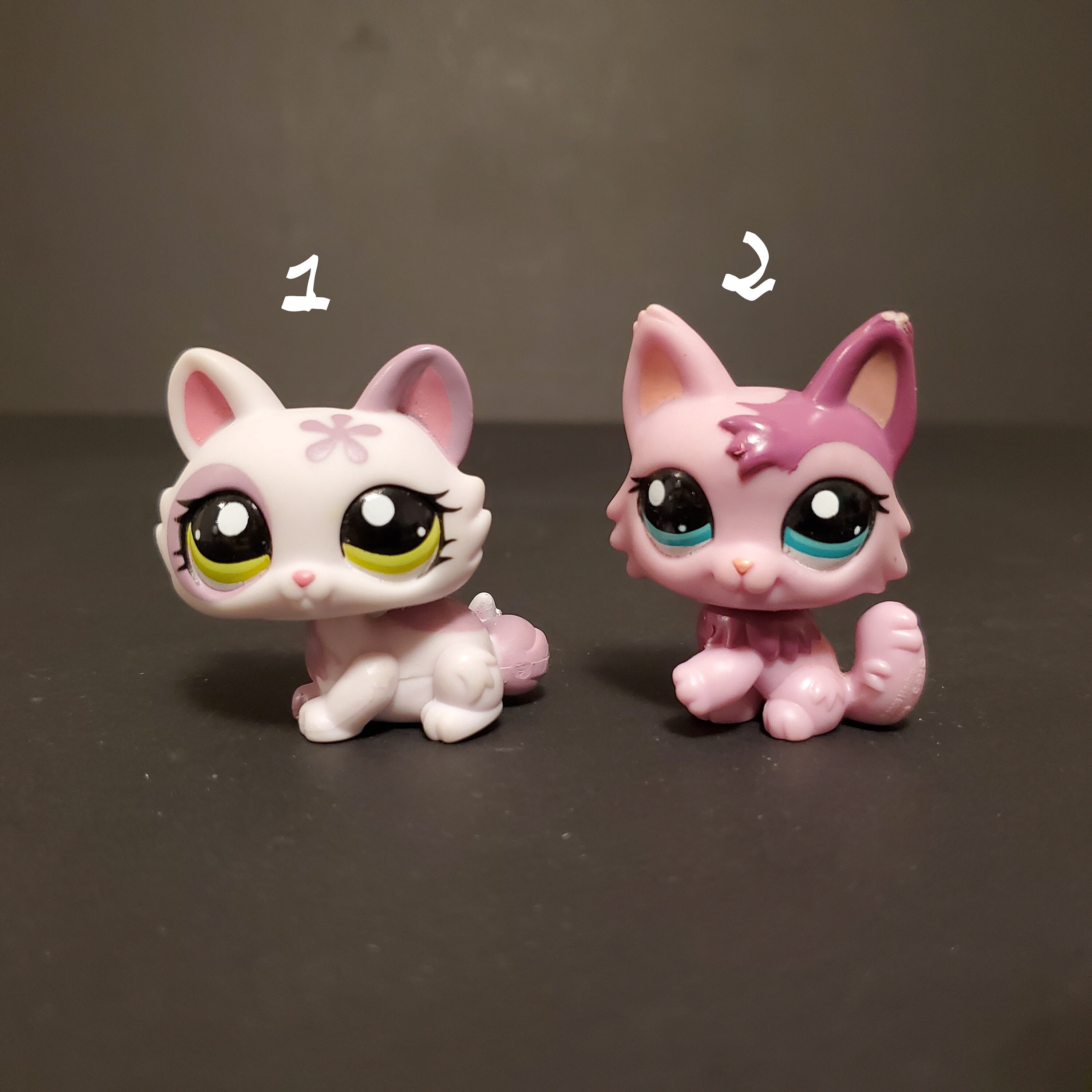 lps crouching cat