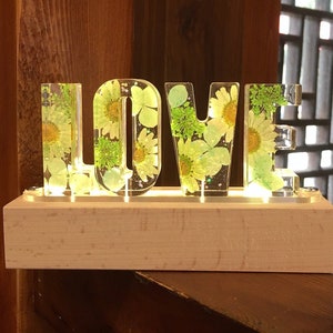 Luz de noche de resina con flores prensadas secas y letras de colores personalizados, símbolo de número y letra de flores reales, bonito regalo para amigos, familia, mamá, papá, regalo de festival