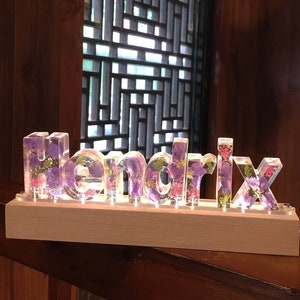 Luz de noche personalizada con flores prensadas reales, letras y números de resina de flores secas de colores, bonito regalo para amigos, familiares y amantes, regalo de festival