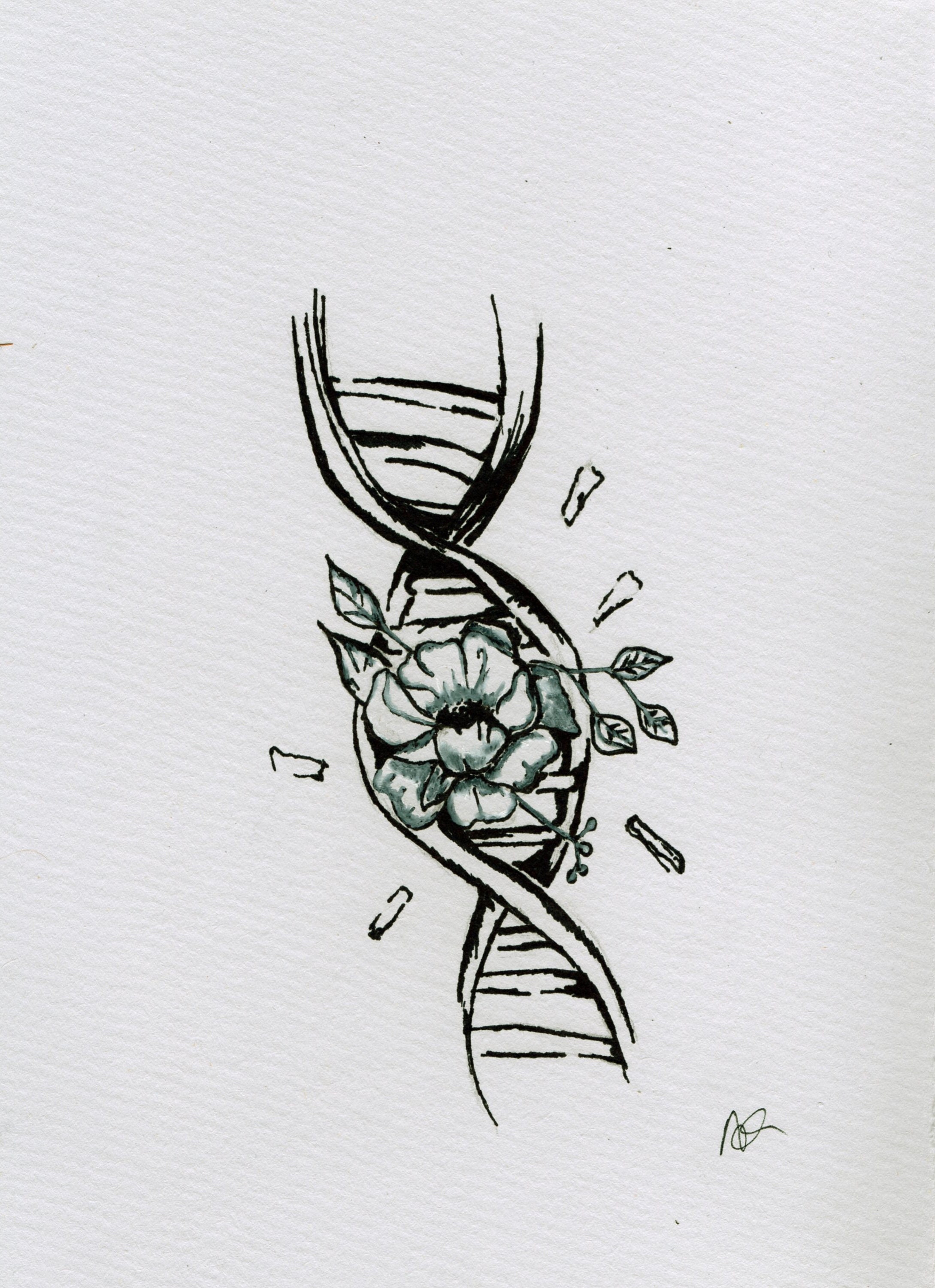 Rose tattoo design by CsDesigns83 on DeviantArt