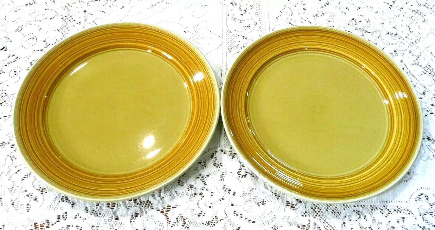 美品mikasaミカサストーンウェアTerra Stoneプレート17枚セット Mikasa Terra Stone Saffron 5 Piece Place Setting Mustard