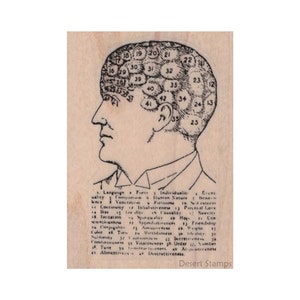 May include: A vintage black and white illustration of a human head with numbered sections. The image is labeled with the text "Desert Stamps".