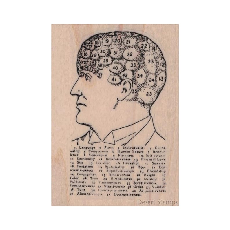 Mixed Media Neurology Stamp Advertisement Stamp Pseudo Science Stamp Numbered Head RUBBER STAMP Brain Stamp Vintage Ad Stamp