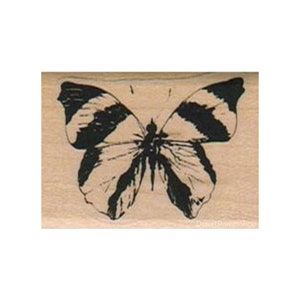 Striped Butterfly RUBBER STAMP, Nature Stamp, Insect Stamp, Butterflies Stamp, Moth Stamp, Lepidopterist Stamp, Flying Insect Stamp