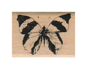 Sello de goma de mariposa rayada, sello de naturaleza, sello de insectos, sello de mariposas, sello de polilla, sello de lepidopterólogo, sello de insecto volador