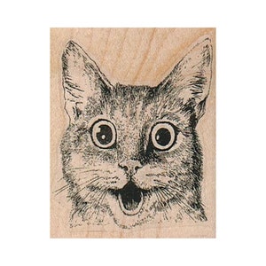 SELLO DE GOMA Gato sorprendido, Sello de gatito, Sello de gato, Sello de gato sorprendido, Sello de gato gracioso, Sello de amante de los gatos, Sello de gato asustado, Gatito, Felino
