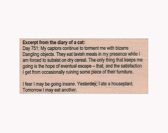 Cat Diary Entry RUBBER STAMP, Funny Cat Stamp, Feline Stamp, Cat Stamp, Kitty Stamp, Cat Diary Stamp, Life Of A Cat Stamp, Funny Feline