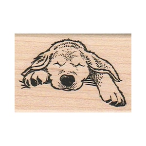 Schlafender Hund STEMPEL, Stempel Hund, Welpe Stempel, süßer Welpe Stempel, Golden Retriever Stempel, Labrador Hund Stempel, Man's Best Friend Stempel