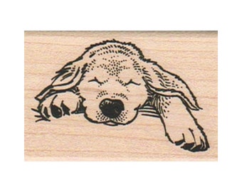 Sleeping Dog RUBBER STAMP, Dog Stamp, Puppy Stamp, Cute Puppy Stamp, Golden Retriever Stamp, Labrador Dog Stamp, Man's Best Friend Stamp