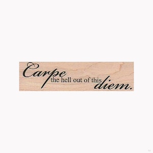 Carpe the Hell Out of This Diem. Adult Starter Cross Stitch Kit. Modern.  Motivational Inspirational Cross Stitch Kit. Subversive. Gift. 