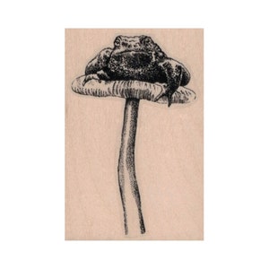 Tampon en caoutchouc crapaud sur champignon vénéneux, tampon crapaud, tampon grenouille, tampon champignon vénéneux, tampon jardin, tampon nature, tampon marais, rainette, tampon amphibien