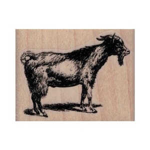 Goat Standing RUBBER STAMP, Goat Stamp, Farm Animal Stamp, Kid Stamp, Billie Goat Stamp, Farm Stamp, Mountain Goat Stamp, Mammal Stamp