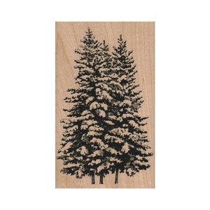 TIMBRO DI GOMMA Alberi Sempreverdi, Timbro Albero, Timbro Natura, Timbro Esterno, Timbro Pino, Timbro Albero Natale, Timbro Albero Inverno, Foresta