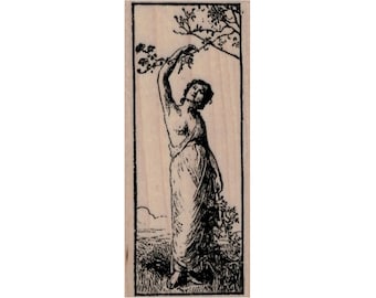 May include: A black and white illustration of a woman reaching up to a tree branch. The woman is wearing a long dress and has her hair pulled back. The image is on a wooden background.