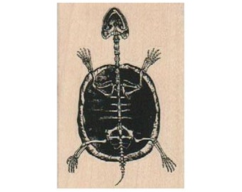 Skeleton Turtle RUBBER STAMP, Halloween Stamp, Spooky Halloween Stamp, Bones Stamp, Skeleton Stamp, Turtle Stamp, Halloween Craft Stamp