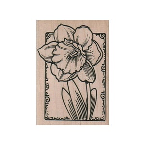 Daffodil in Frame RUBBER STAMP, Flower Stamp, Nature Stamp, Outdoor Stamp, Gardening Stamp, Spring Stamp, Flowers Stamp, Blooming Stamp