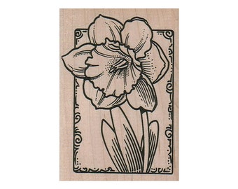 Daffodil in Frame RUBBER STAMP, Flower Stamp, Nature Stamp, Outdoor Stamp, Gardening Stamp, Spring Stamp, Flowers Stamp, Blooming Stamp